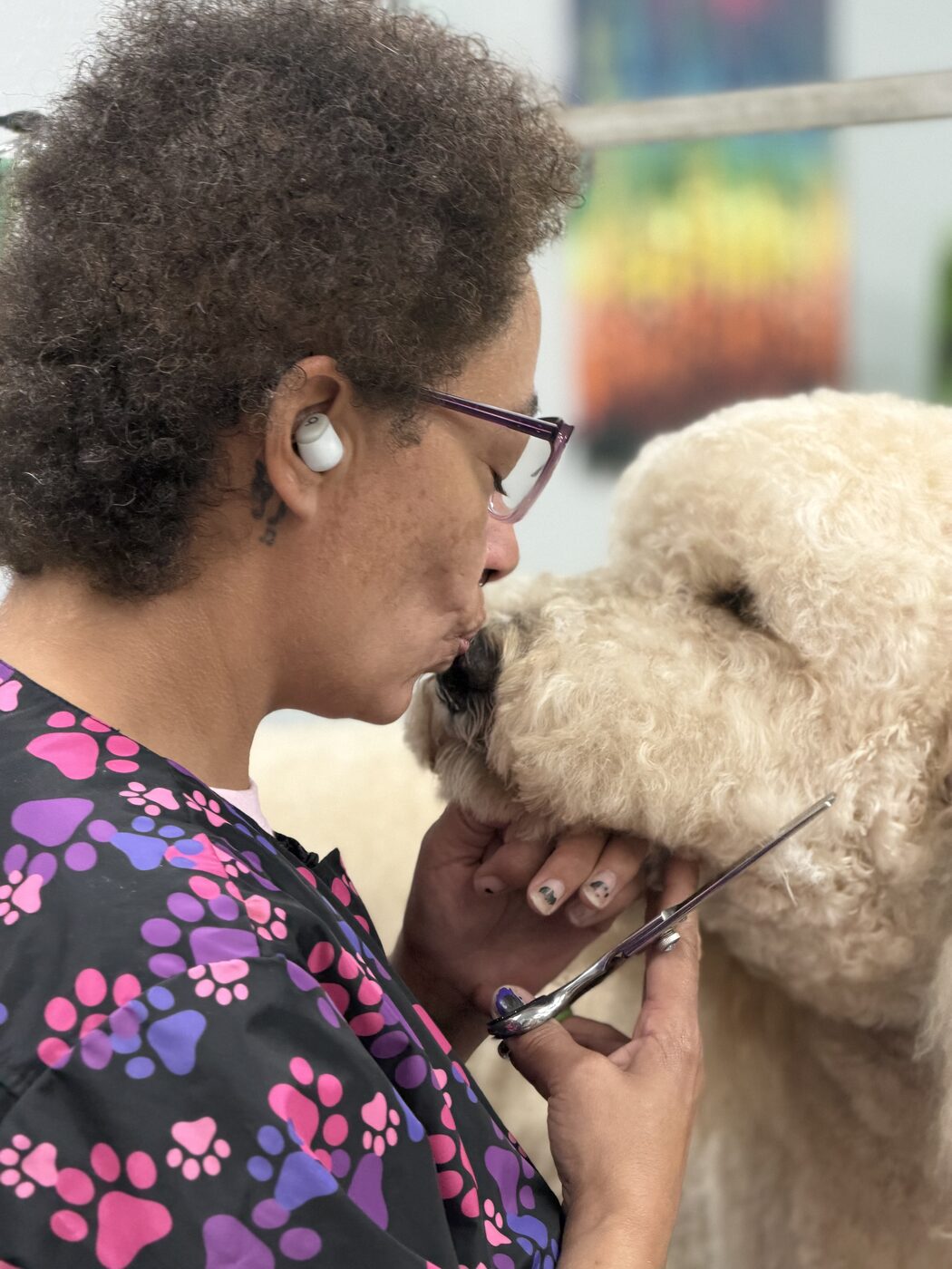 Mo grooming a happy dog